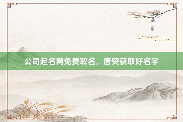公司起名网免费取名，唐突获取好名字