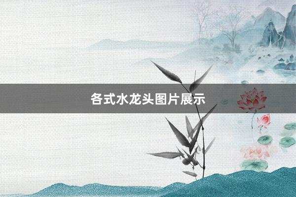 各式水龙头图片展示