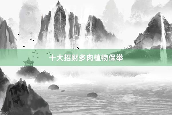 十大招财多肉植物保举